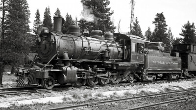 Steam locomotive with Chevy car body on tender as dog house.