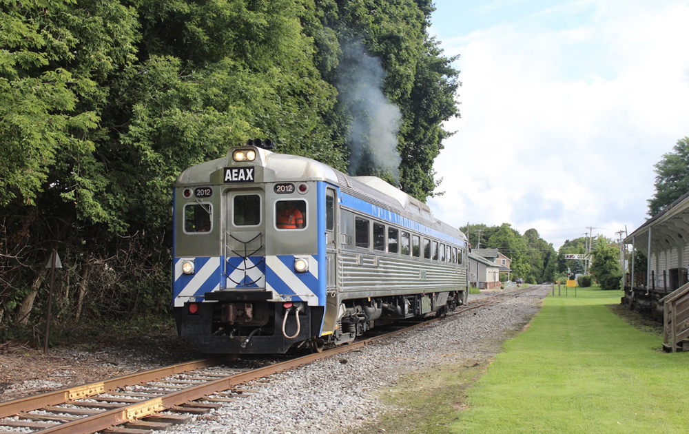 Rail Diesel Car with blue and white nose striping in operation.