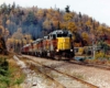 Gray-and-maroon diesel Algoma Central locomotives