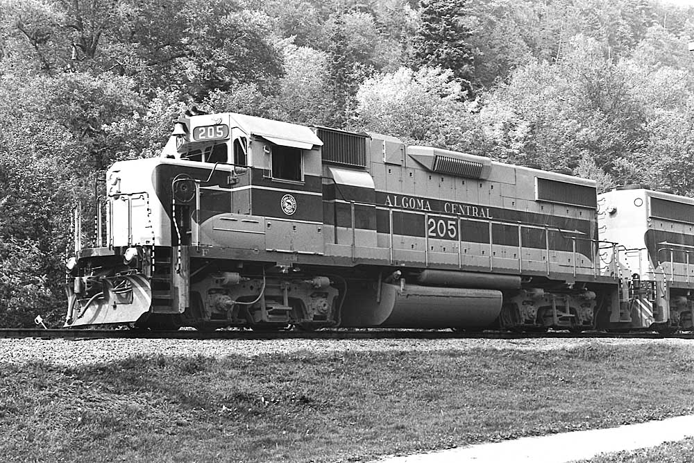 Striped Algoma Central locomotive with trees