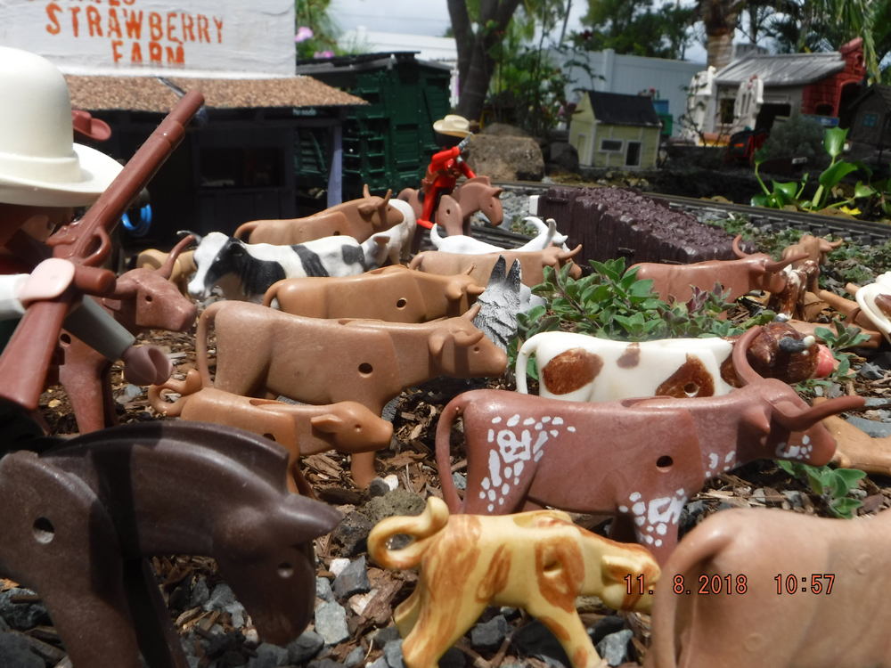 model cows and with people on horseback