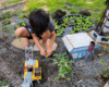 child sitting in garden railway