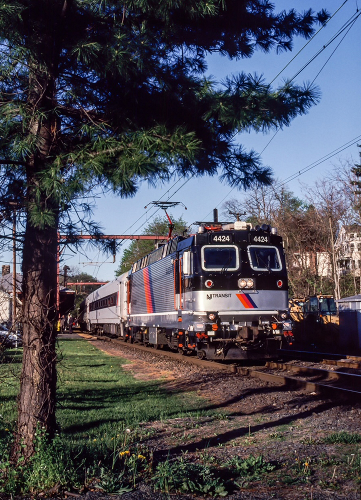 Electric locomotive leading commuter train, framed by tree