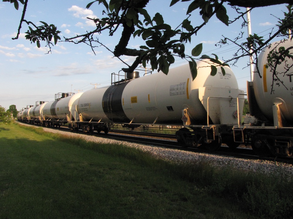 A line of white-painted railroad tank cars with a swath of green grass in the foreground, framed by a tree branch