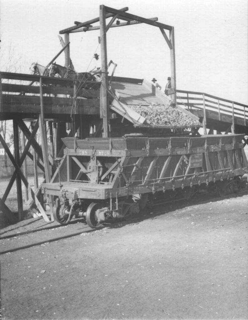 Black-and-white photo of sugar beet dump