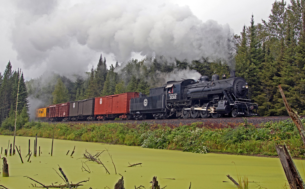 steam train with mucky green water in front