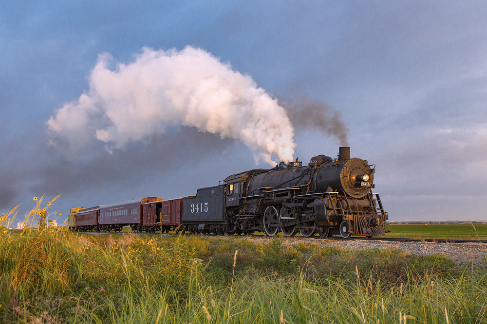 steam train in field for charter