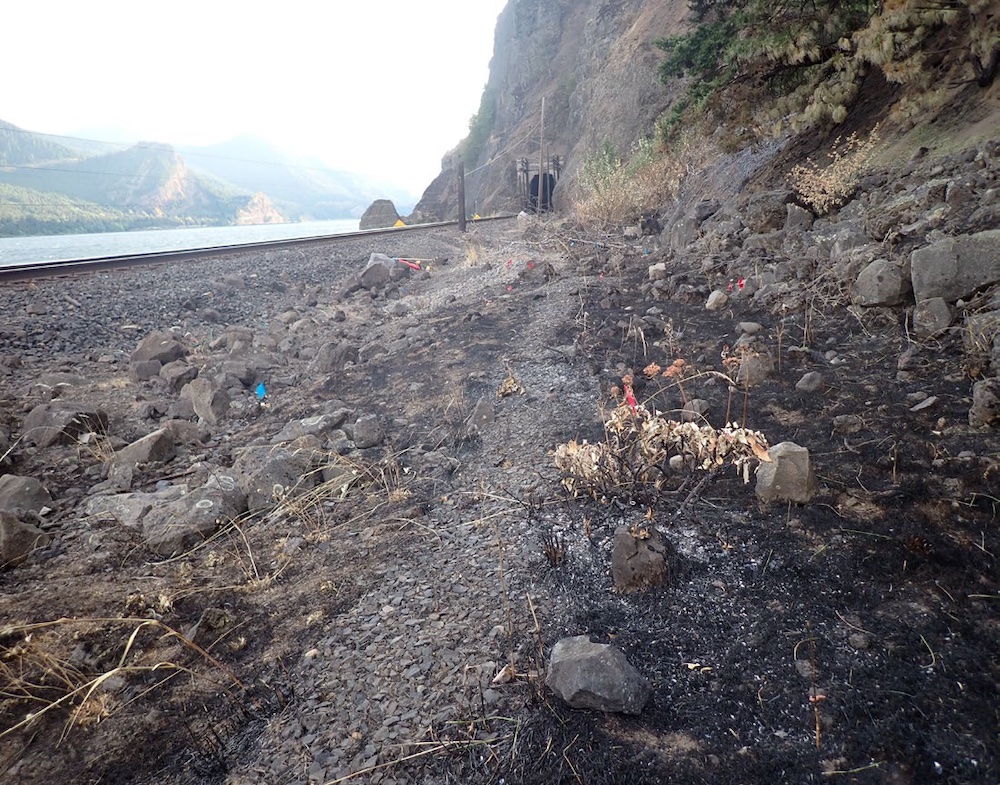 Fire-burned area near the railroad and tunnel.