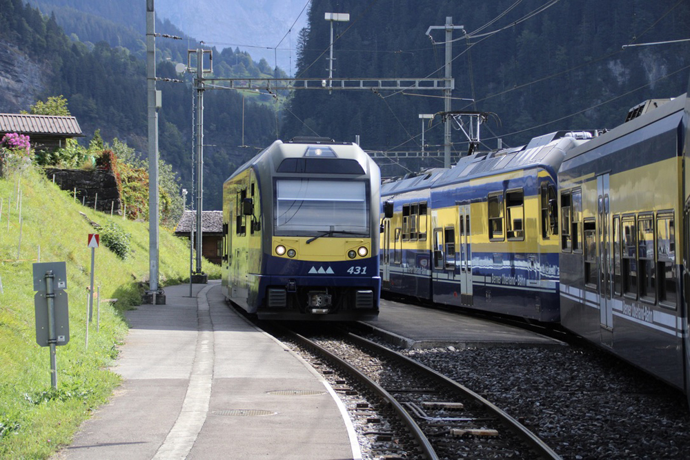 Blue and yellow passenger trains meet