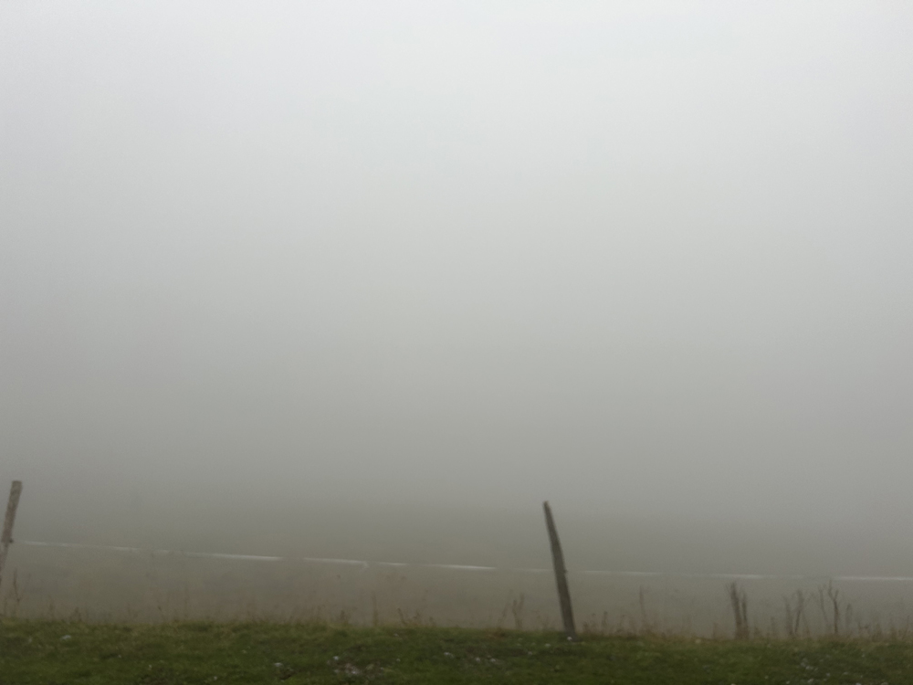 Fog and fencepost