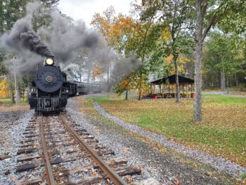 Black steam locomotive pulling passenger train in picnic grove. East Broad Top Railroad update