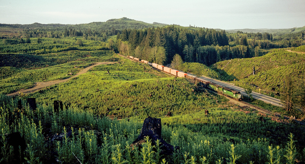 train far away surround by greenery