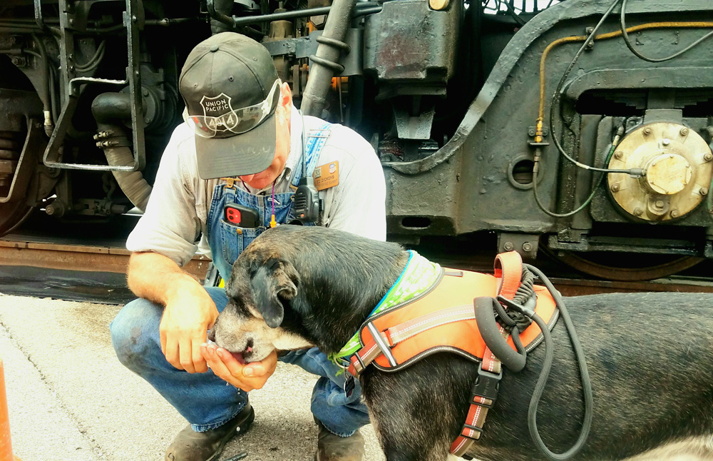 man giving black dog water with train in background