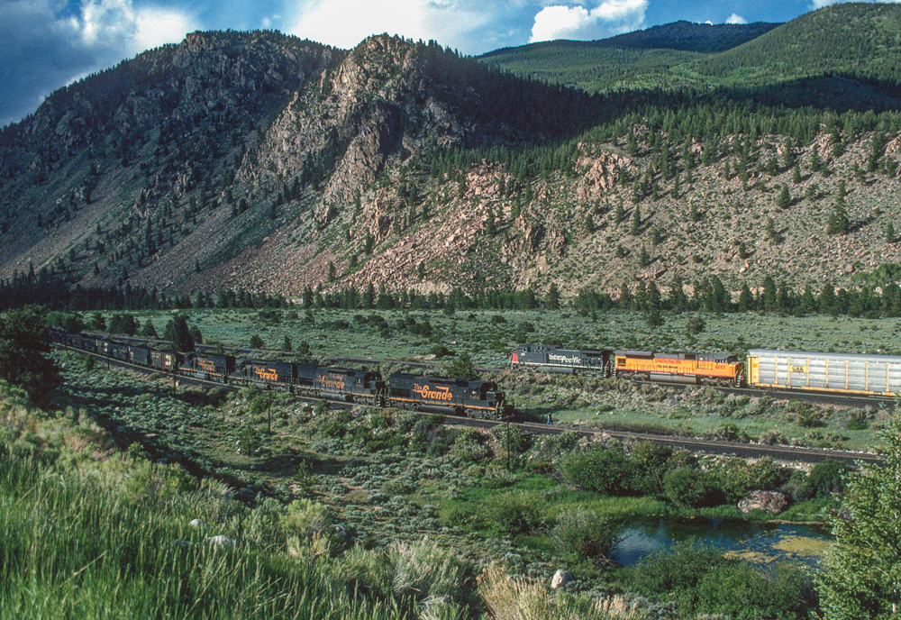 two trains in a green landscape with a mountain
