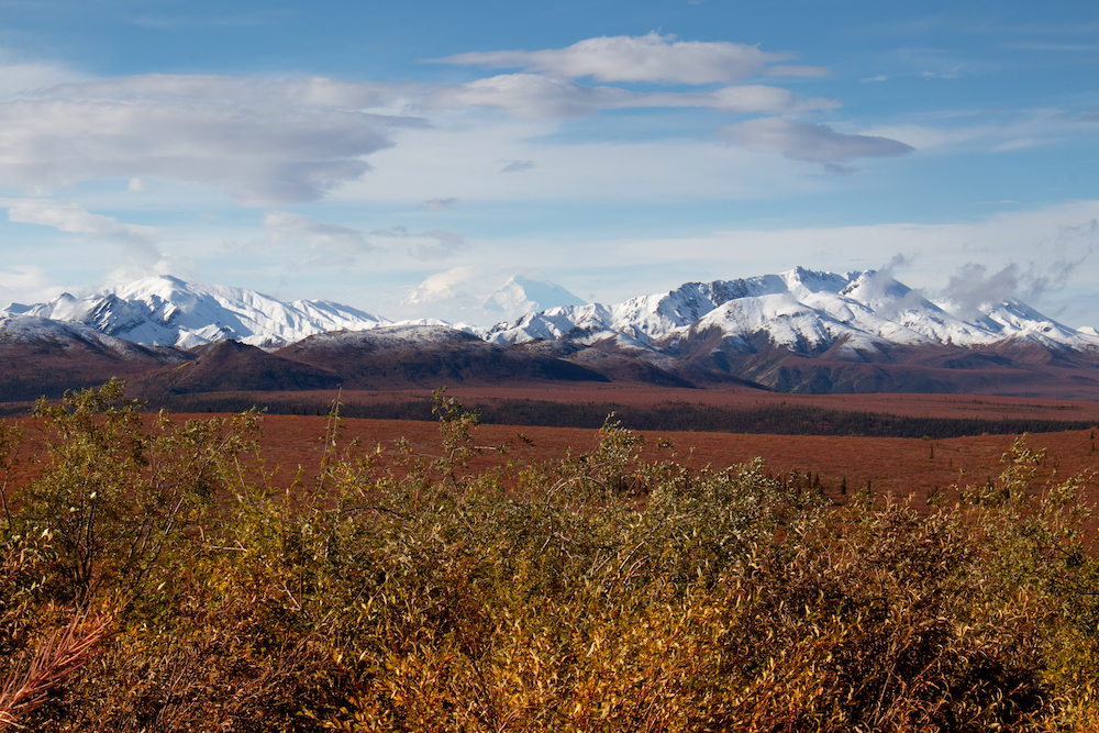 A snow covered mountain range with red and yellow foliage in the foreground