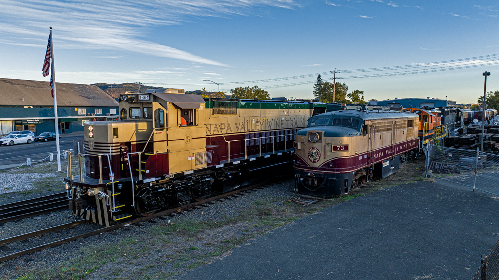 Maroon, gold, and green locomotives in golden-hour lighting