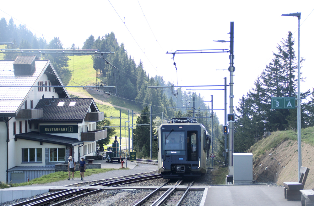 Tan and white cog railway train approaches platform