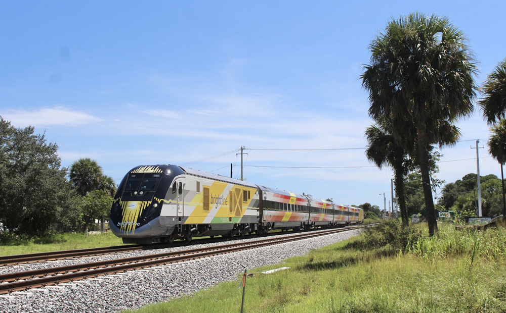 Passenger train passing palm trees