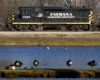 Black with yellow stripes locomotive going by pond with ducks