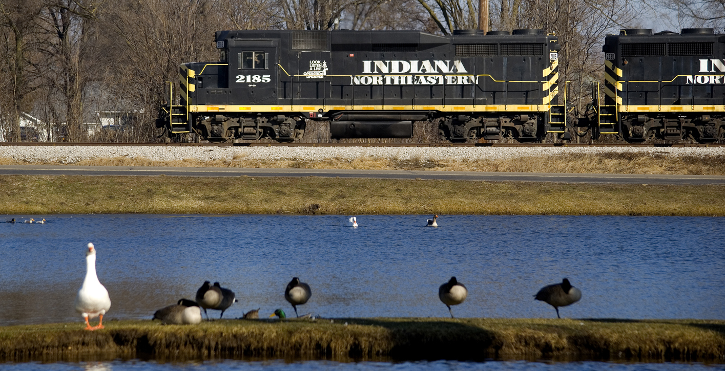 Black with yellow stripes locomotive going by pond with ducks
