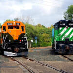 diverging railroad lines form a y-shaped junction in the woods. An orange diesel occupies the left track, a green and white diesel the one on the right.
