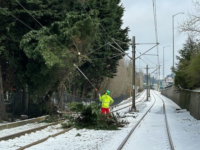 Man clearing downed tree from catenary