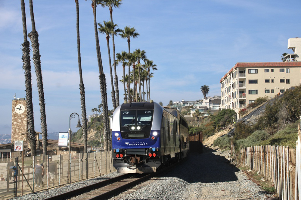 Passenger train on single track next to palm trees and beach