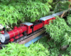 red model engine running through trees