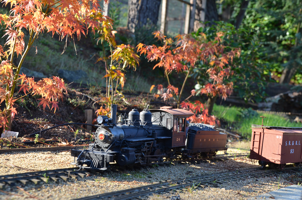 model steam locomotive on garden railway with fall foliage