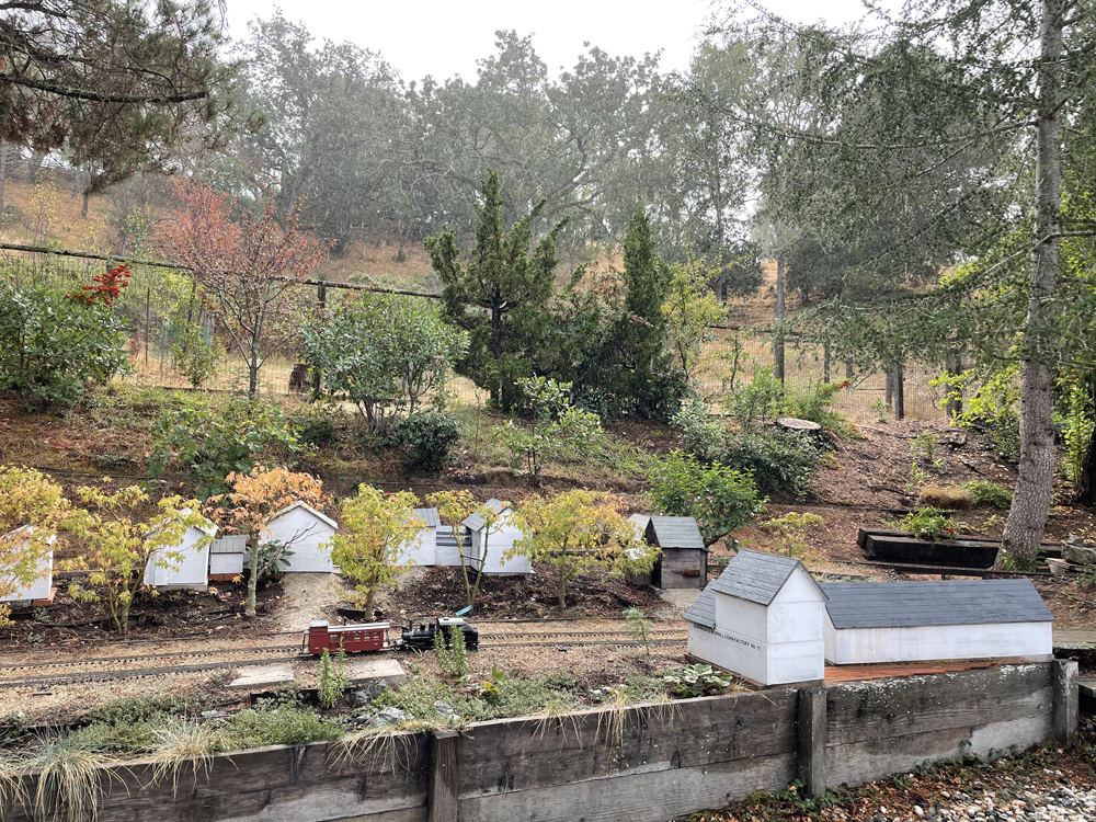 view of garden railway with fall colors