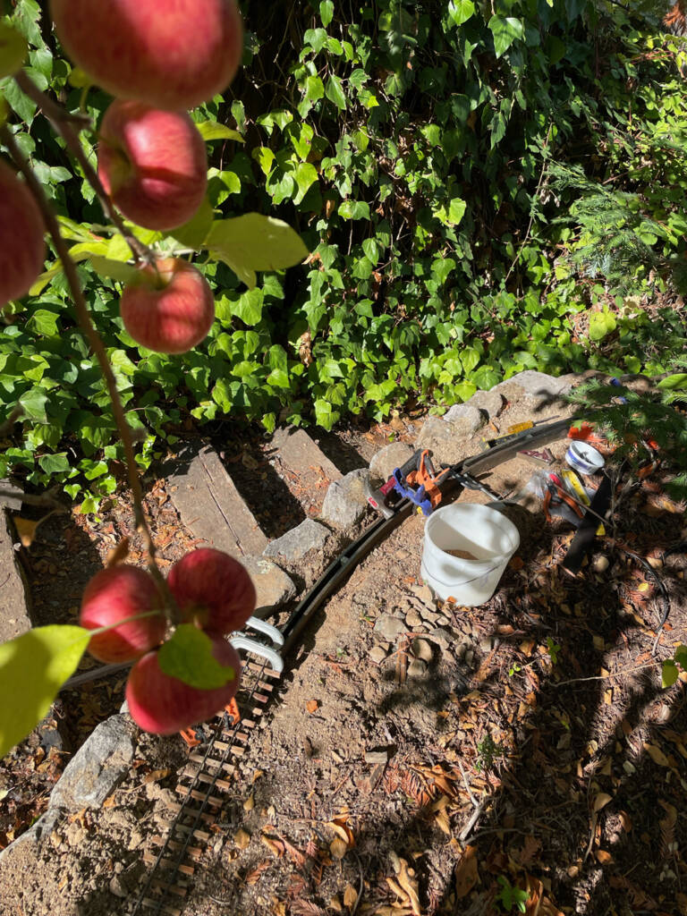 view of model track with apples in a tree
