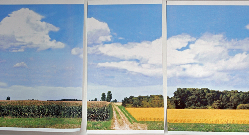 Color photo showing three backdrop panels.