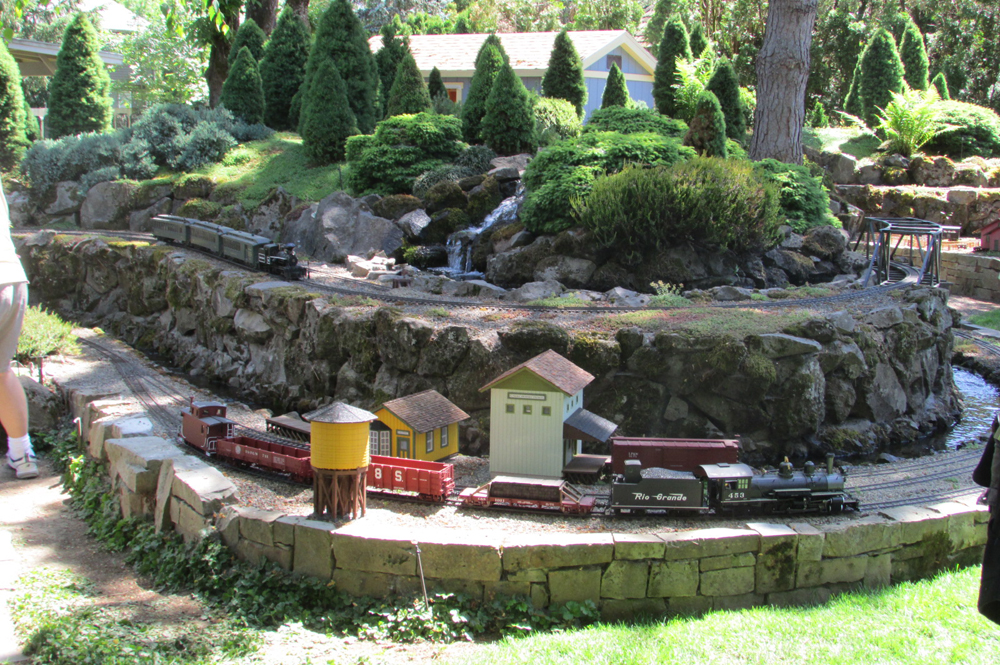 scene on a garden railway with locomotive
