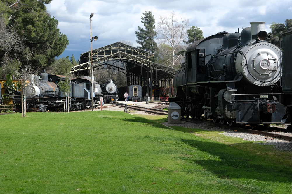 green grass with locomotives in background