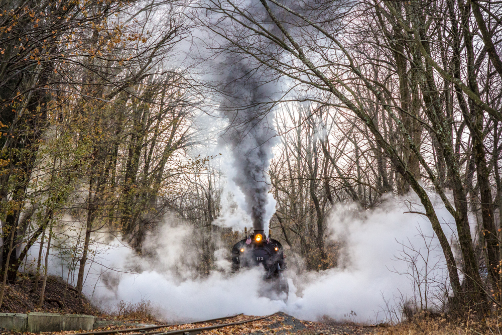 steam locomotive in middle of trees