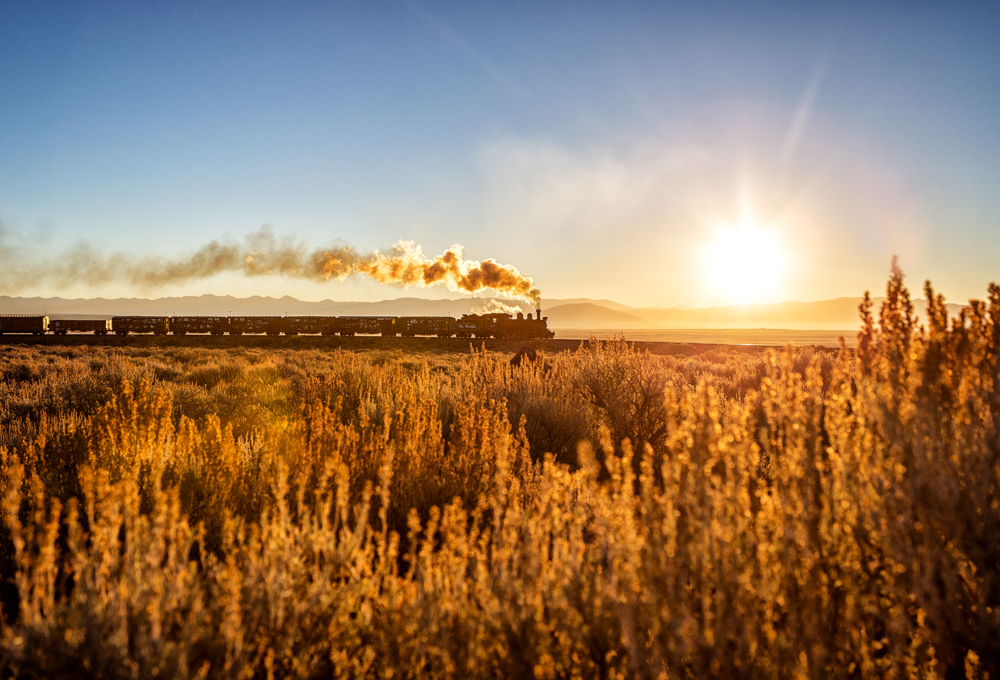 sunset behind a train with wheat