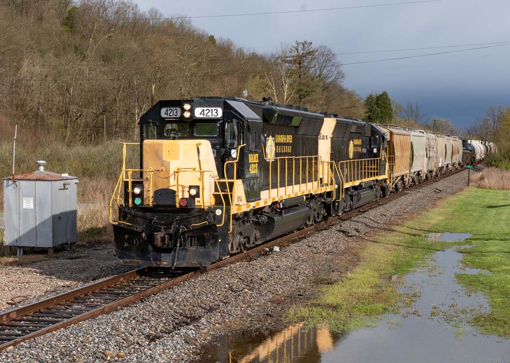 black and yellow train on tracks
