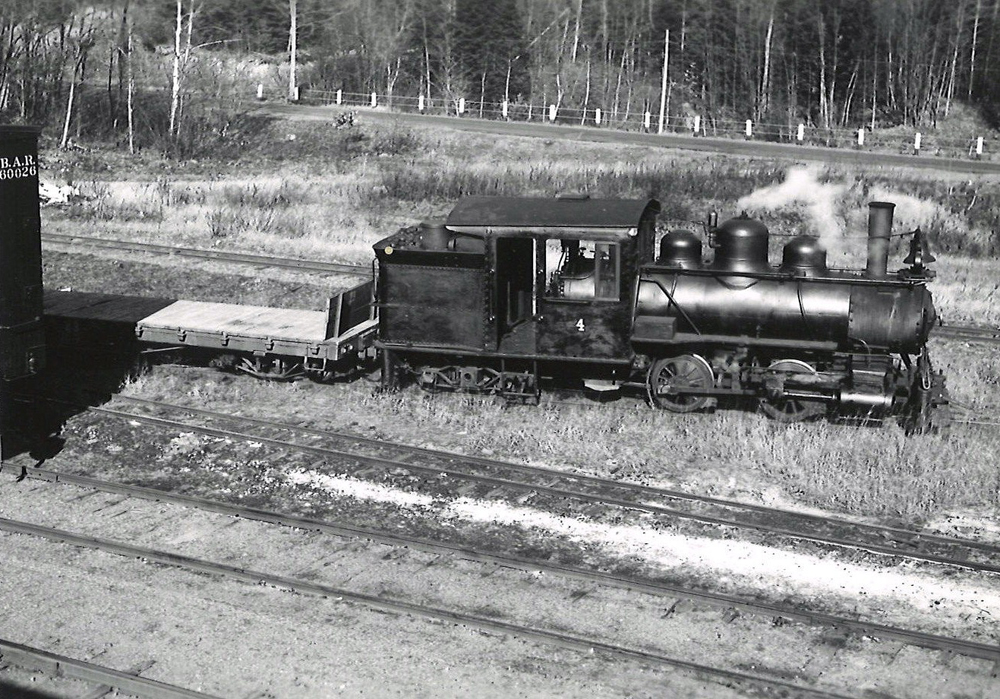 Small steam locomotive
