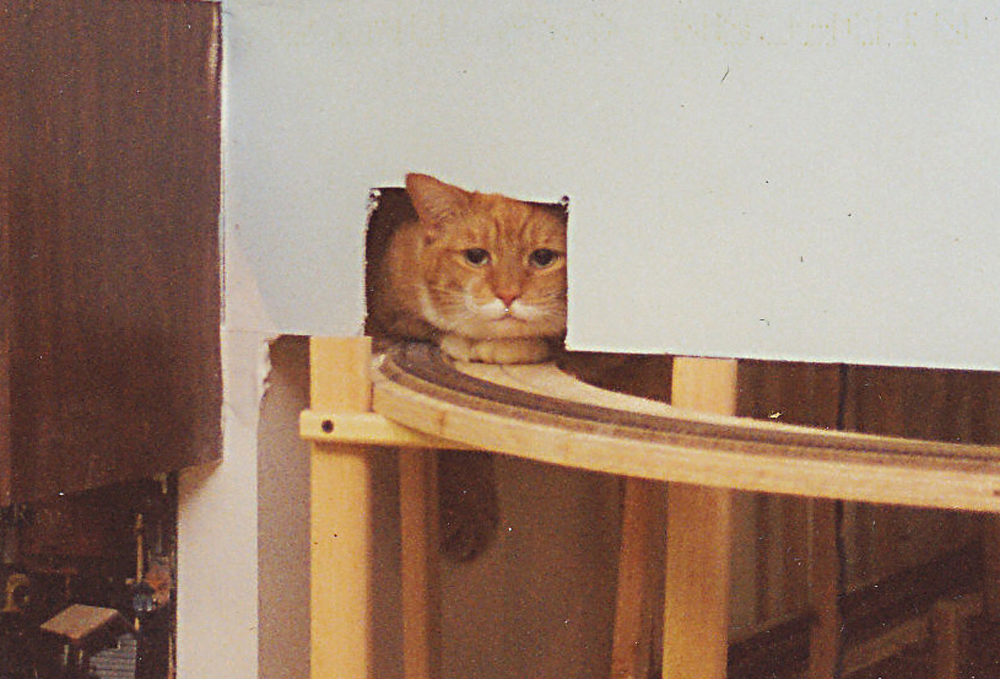 A cat looks through the tunnel on a model railroad layout