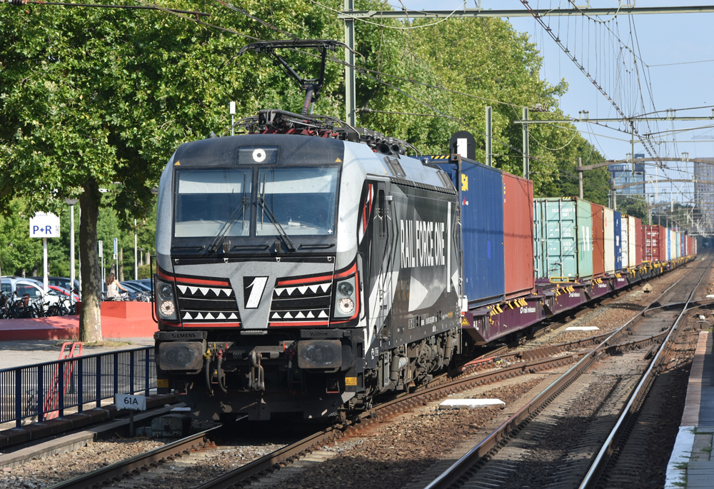 shark themed locomotive wrap