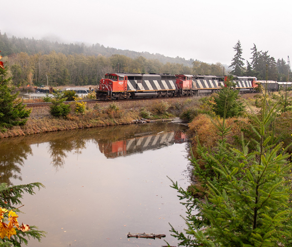 A Canadian National train in an autumnal forest