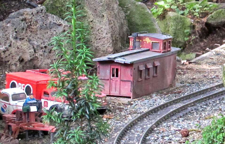 Irish yew grows in the forground of the image. In the background, garden rail track can be seen, alongside a model caboose structure and rocks