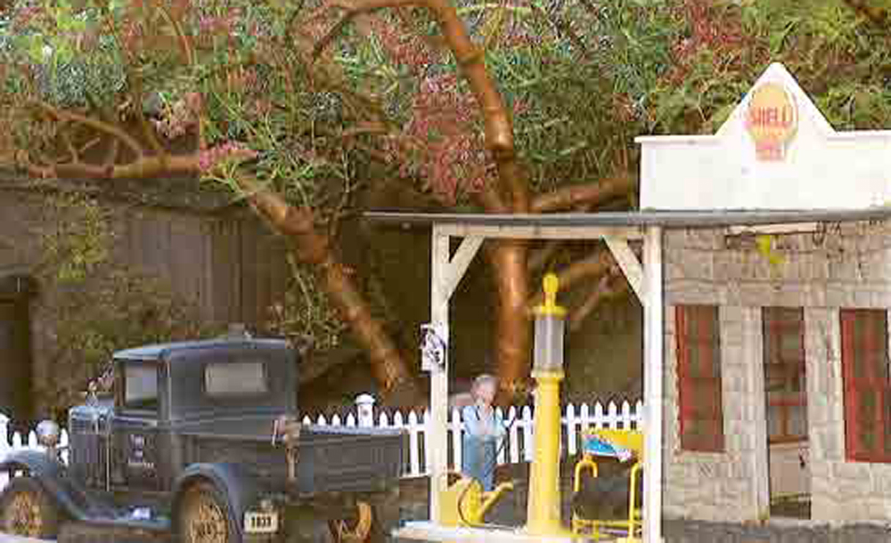small tree with model house next to it