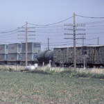 Double-stack freight cars and livestock cars on a passing trains