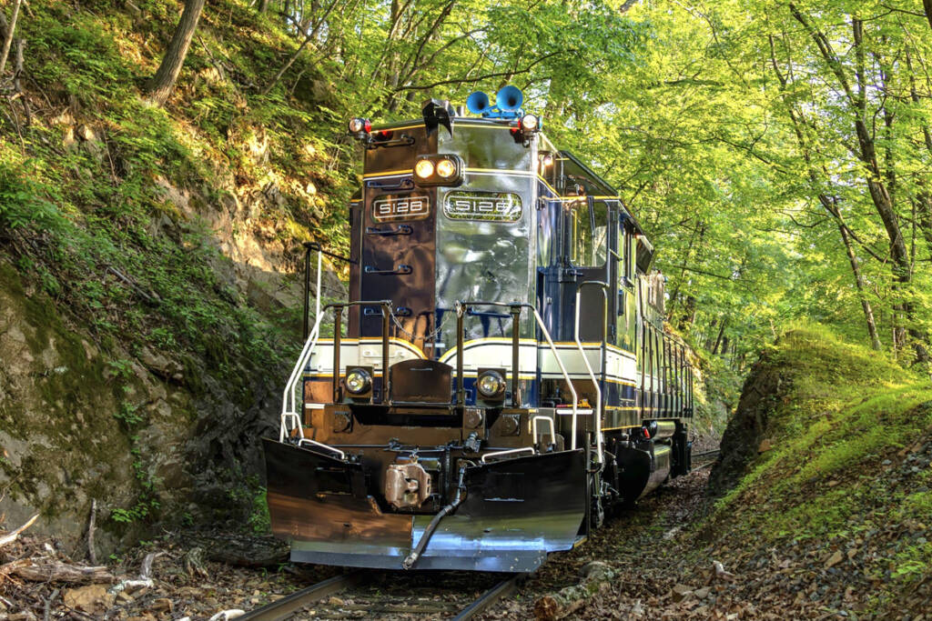 High-nose diesel with ornate blue, black, white, and gold paint scheme