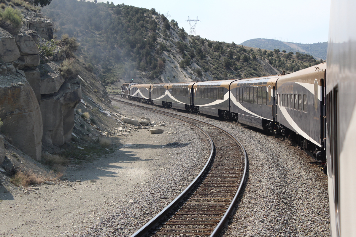 Train with blue, gold, and white passenger cars climbing mountain grade