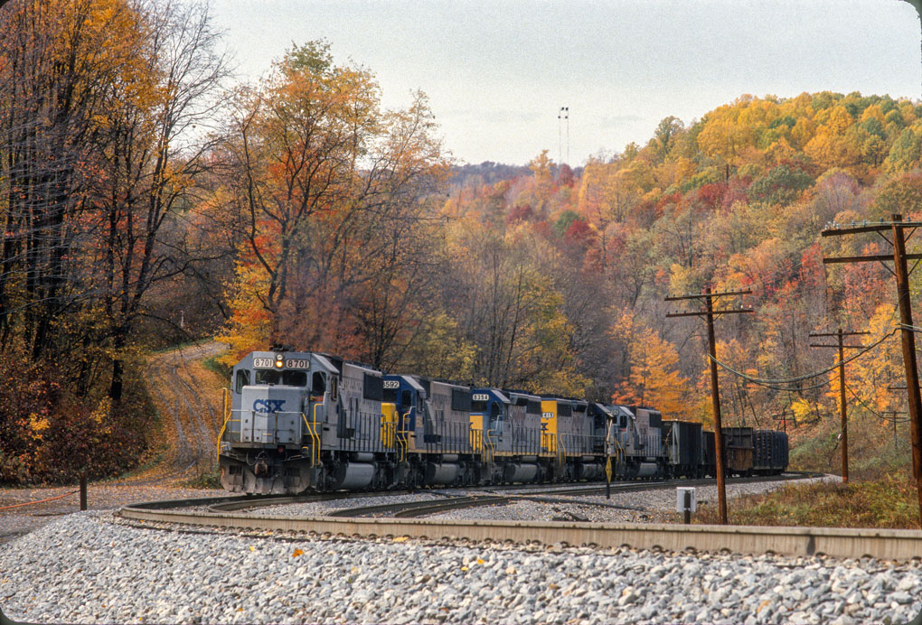 A freight train rolls toward the camera under a canopy of fall foliage