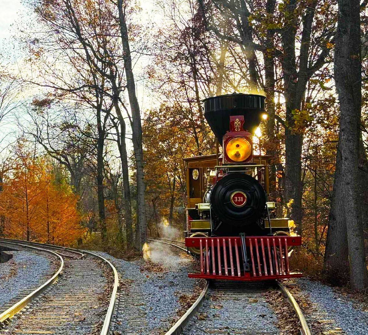 Replica 1860s steam locomotive steaming along wooded tracks. The astonishing 5-week transformation of No. 331.