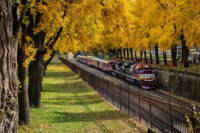 Today's News Wire Thumbnail 1