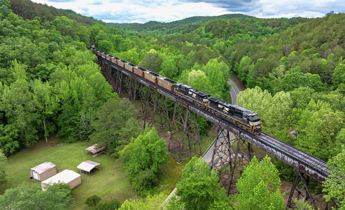 Coal train on bridge in area surrounded by trees